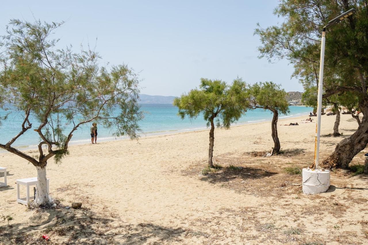 Flerianos Studios Naxos Ágios Prokópios Extérieur photo